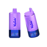 Vapsolo Triple Pro 60000 - Image 14